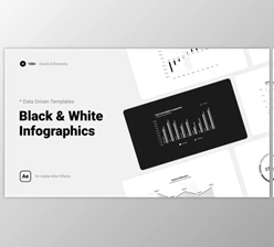 Download Black & White Infographics (Videohive 38563022) - AE Project