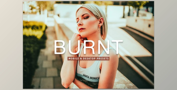 Download Burnt Pro Lightroom Presets CreativeMarket - 7375231