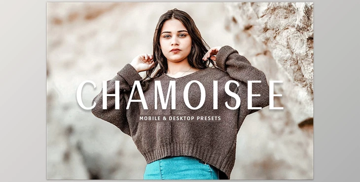 Download Chamoisee Pro Lightroom Presets CreativeMarket - 7375237