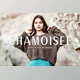 Download Chamoisee Pro Lightroom Presets CreativeMarket - 7375237