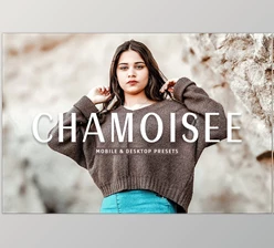 Download Chamoisee Pro Lightroom Presets CreativeMarket - 7375237