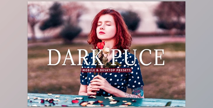 Download Dark Puce Pro Lightroom Presets CreativeMarket - 7375238