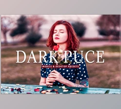 Download Dark Puce Pro Lightroom Presets CreativeMarket - 7375238
