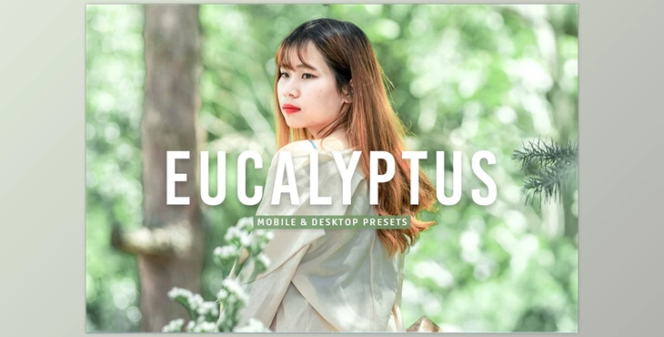 Download Eucalyptus Pro Lightroom Presets CreativeMarket - 7375252