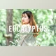 Download Eucalyptus Pro Lightroom Presets CreativeMarket - 7375252