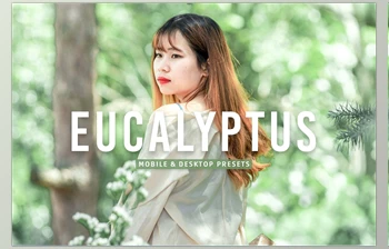 Download Eucalyptus Pro <span class='badge badge-warning'>Lightroom</span> Presets CreativeMarket - 7375252