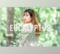 Download Eucalyptus Pro Lightroom Presets CreativeMarket - 7375252