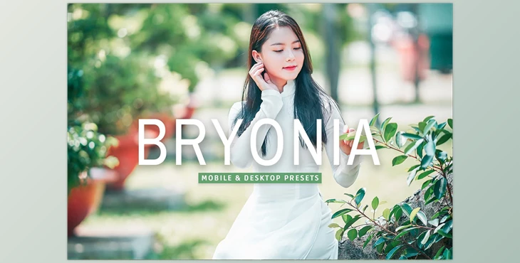Download Bryonia Pro Lightroom Presets CreativeMarket - 7375229