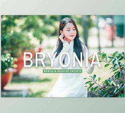 Download Bryonia Pro Lightroom Presets CreativeMarket - 7375229