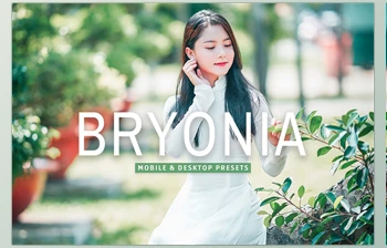 Download Bryonia Pro <span class='badge badge-warning'>Lightroom</span> Presets <span class='badge badge-warning'>CreativeMarket</span> - 7375229