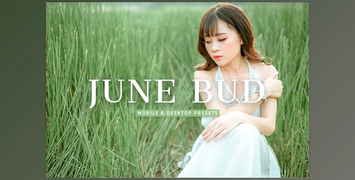Download June Bud Pro Lightroom Presets CreativeMarket - 7375260