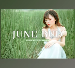 Download June Bud Pro Lightroom Presets CreativeMarket - 7375260