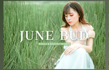 Download June Bud Pro <span class='badge badge-warning'>Lightroom</span> Presets <span class='badge badge-warning'>CreativeMarket</span> - 7375260