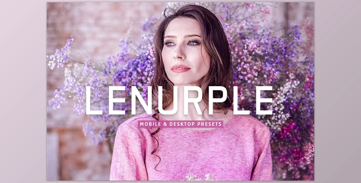 Download Lenurple Pro Lightroom Presets CreativeMarket - 7375257