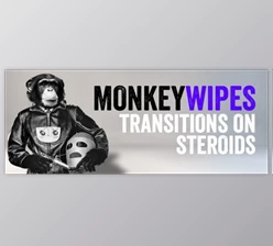 Download Aescripts MonkeyWipes v1.00