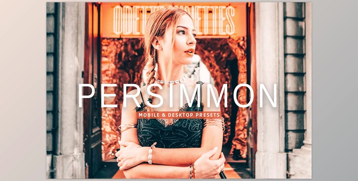 Download Persimmon Pro Lightroom Presets CreativeMarket - 7382511