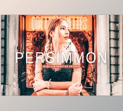 Download Persimmon Pro Lightroom Presets CreativeMarket - 7382511