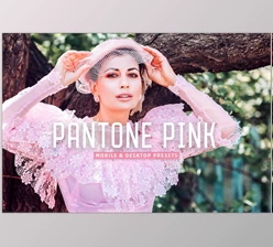 Download Pantone Pink Pro Lightroom Presets CreativeMarket - 7382506