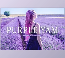 Download Purple Yam Pro Lightroom Presets CreativeMarket - 7382520