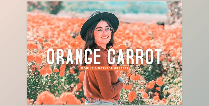 Download Orange Carrot Pro Lightroom Presets CreativeMarket - 7382491
