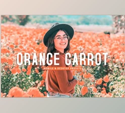 Download Orange Carrot Pro Lightroom Presets CreativeMarket - 7382491