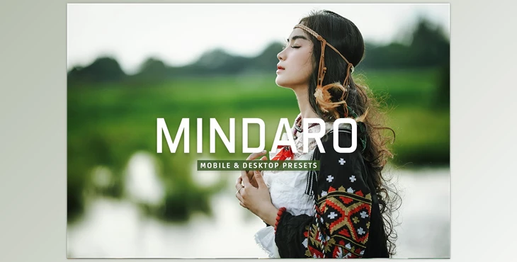 Download Mindaro Pro Lightroom Presets CreativeMarket - 7389020