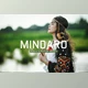 Download Mindaro Pro Lightroom Presets CreativeMarket - 7389020