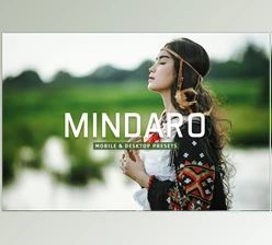 Download Mindaro Pro Lightroom Presets CreativeMarket - 7389020