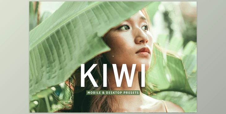 Download Kiwi Pro Lightroom Presets CreativeMarket - 7389017