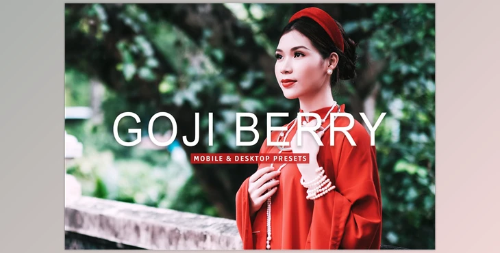 Download Goji Berry Pro Lightroom Presets CreativeMarket - 7389007