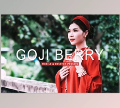 Download Goji Berry Pro Lightroom Presets CreativeMarket - 7389007