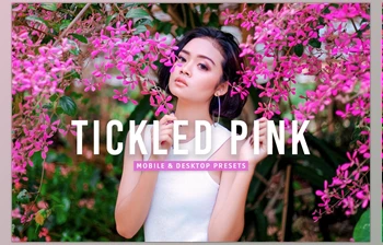 Download Tickled Pink Pro <span class='badge badge-warning'>Lightroom</span> Presets <span class='badge badge-warning'>CreativeMarket</span> - 7387232