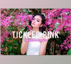 Download Tickled Pink Pro Lightroom Presets CreativeMarket - 7387232