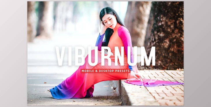Download Viburnum Pro Lightroom Presets CreativeMarket - 7387234
