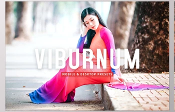Download Viburnum Pro <span class='badge badge-warning'>Lightroom</span> Presets <span class='badge badge-warning'>CreativeMarket</span> - 7387234