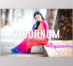 Download Viburnum Pro Lightroom Presets CreativeMarket - 7387234