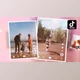 Download 4K Slideshow TikTok Video (Videohive 33346072) - AE Project