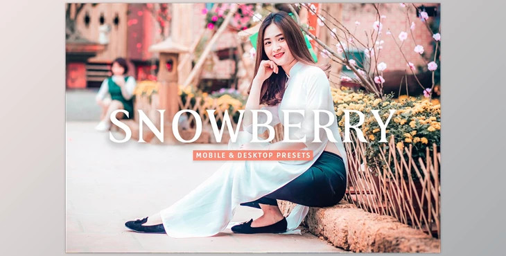 Download Snowberry Pro Lightroom Presets CreativeMarket - 7387227