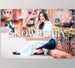 Download Snowberry Pro Lightroom Presets CreativeMarket - 7387227