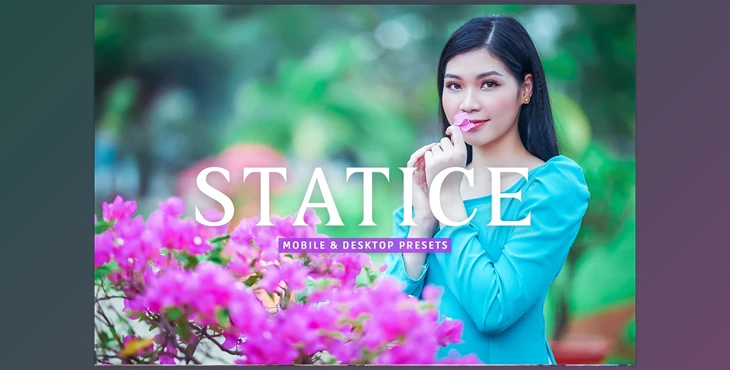Download Statice Pro Lightroom Presets CreativeMarket - 7387228