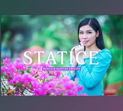 Download Statice Pro Lightroom Presets CreativeMarket - 7387228