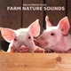 Download Nature Ambient Sounds Farm Nature Sounds [Sound Effects] FLAC