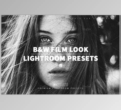 Download 10 B&W FILM LOOK Lightroom Presets CreativeMarket - 7057725