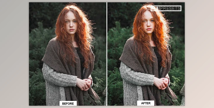Download 10 BEAUTY TONES Lightroom Presets