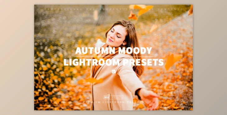 Download 10 AUTUMN MOODY Lightroom Presets