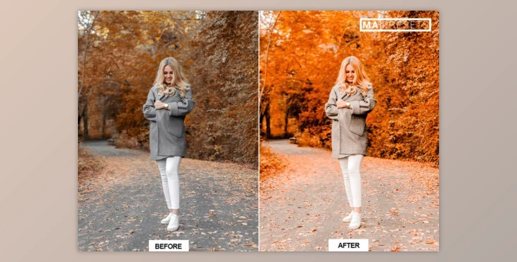 Download 10 AUTUMN MOODY Lightroom Presets