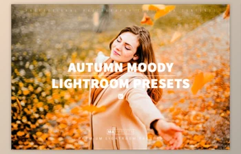 Download 10 AUTUMN <span class='badge badge-warning'>MOODY</span> <span class='badge badge-warning'>Lightroom</span> <span class='badge badge-warning'>Presets</span>