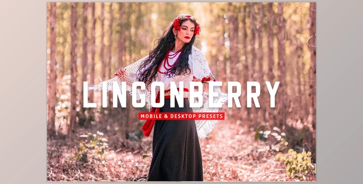 Download Lingonberry Pro Lightroom Presets CreativeMarket - 7403893
