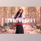 Download Lingonberry Pro Lightroom Presets CreativeMarket - 7403893