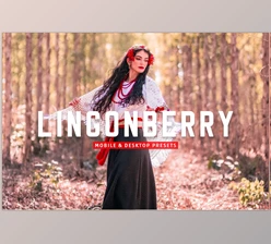 Download Lingonberry Pro Lightroom Presets CreativeMarket - 7403893